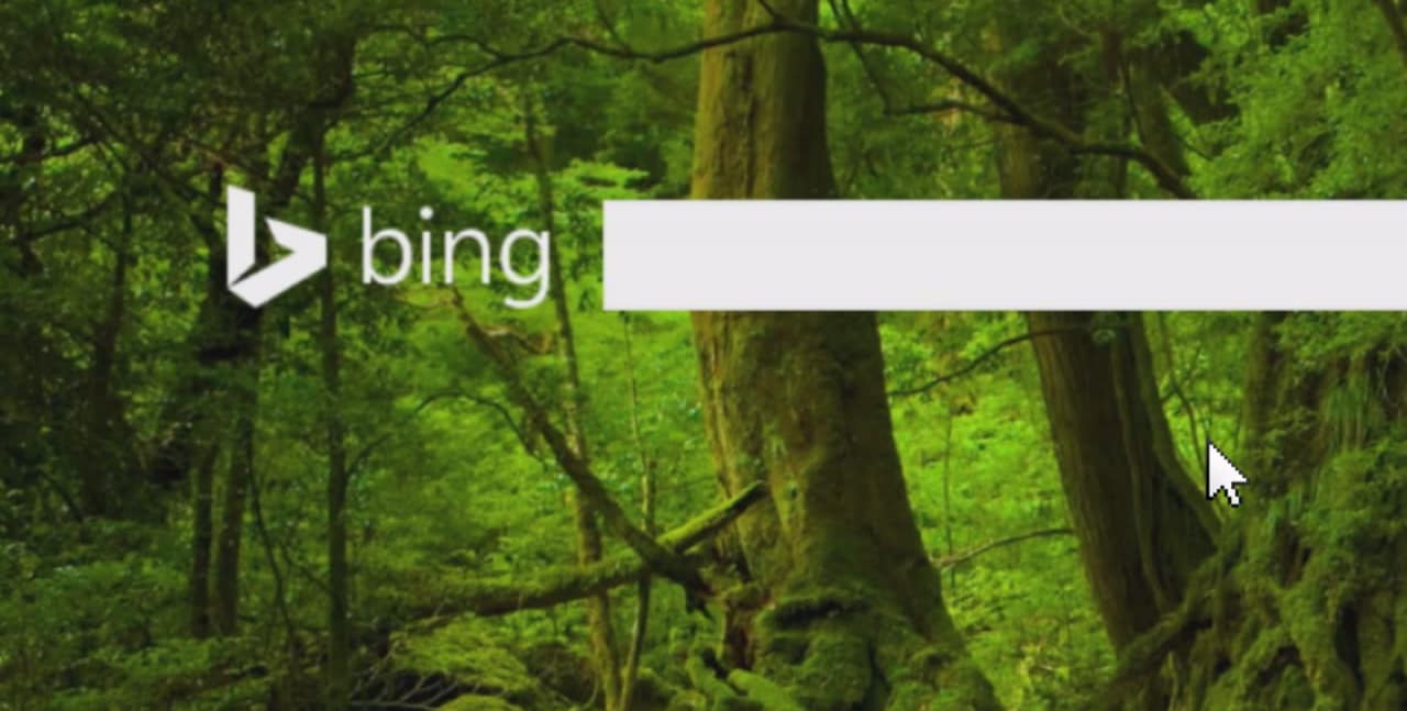 Bing Image Search adesso include le immagini correlate