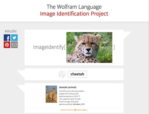 Wolfram introduce la ricerca per immagini