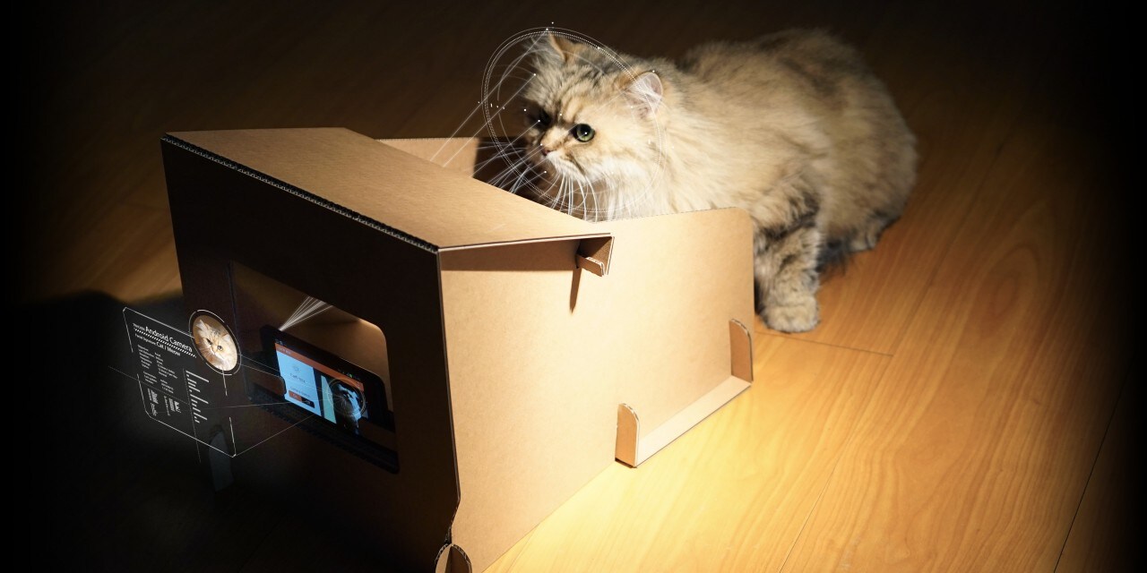 CatFi è il cardboard che darà da mangiare al vostro gatto, previa scansione del muso (foto)