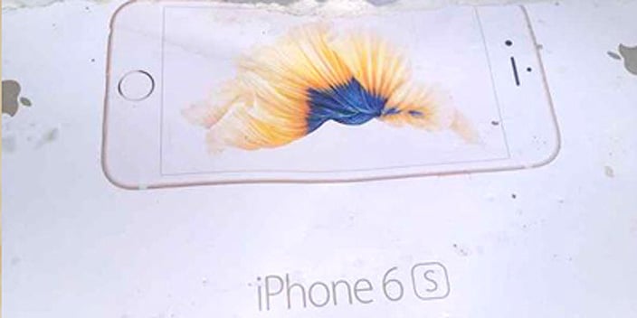 Ancora pesci sulle scatole di iPhone 6s e iPhone 6s Plus
