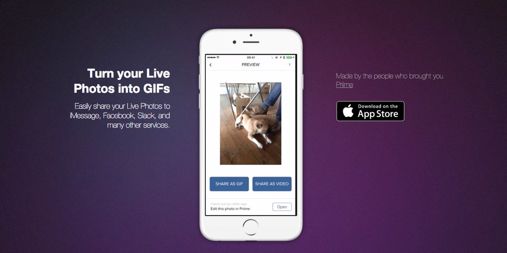 Live GIF per iOS trasforma le nostre foto in GIF