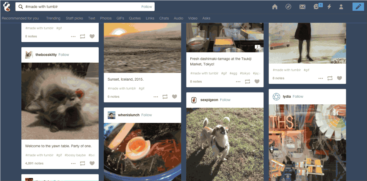 Tumblr vi lascia creare GIF dalla vostra fotocamera, da oggi su iOS e a breve su Android