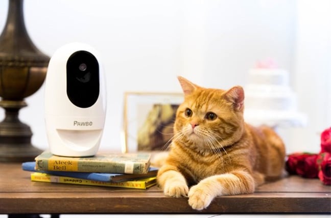 Pawbo+ è la nuova cam wireless interattiva per animali domestici di Acer (foto e video)