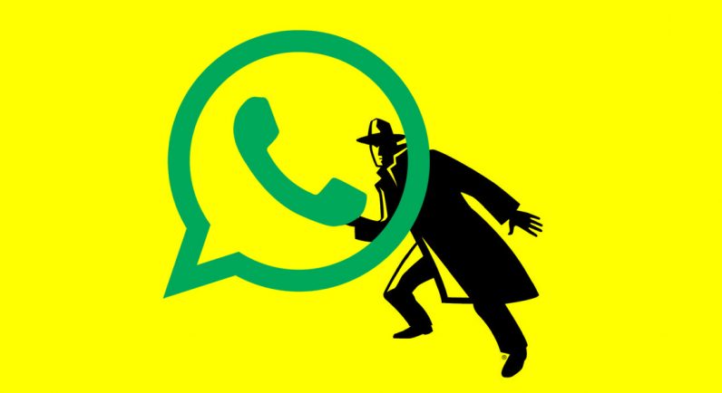 Avete mai pensato a cosa può rivelare di voi lo status &quot;Online&quot; di WhatsApp?