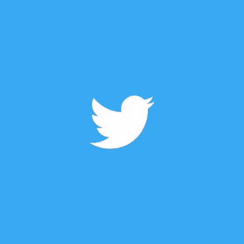 Twitter dice addio alla creazione dei &quot;Momenti&quot; su Android e iOS