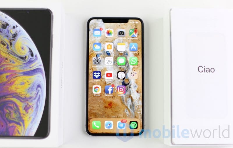 Apple severa (ma giusta): le app iOS dovranno supportare iPhone XS Max e iPad Pro 2018 entro marzo 2019