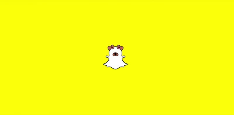 Snapchat lancia i filtri per cani: da ora anche loro possono essere social come i padroni (video)