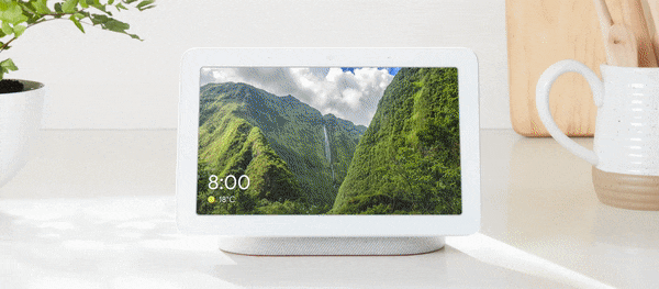 Google Nest Hub in offerta speciale a 59€ da Esselunga: vi piace lo smart display? (Ultimi giorni)