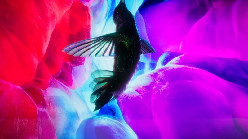 Per promuovere la sua nuova Magic Keyboard, Apple sceglie la leggerezza del colibrì (video)