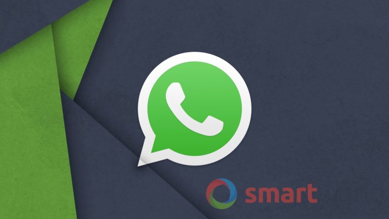 I backup di WhatsApp saranno finalmente al sicuro (foto)